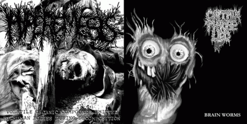 Hyperemesis : Captain 3 Leg - Hyperemesis